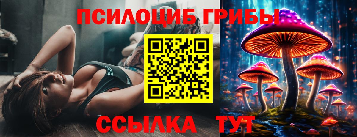 дарнет шоп  Вход с VPN  Алексин  Псилоцибиновые грибы Cubensis 