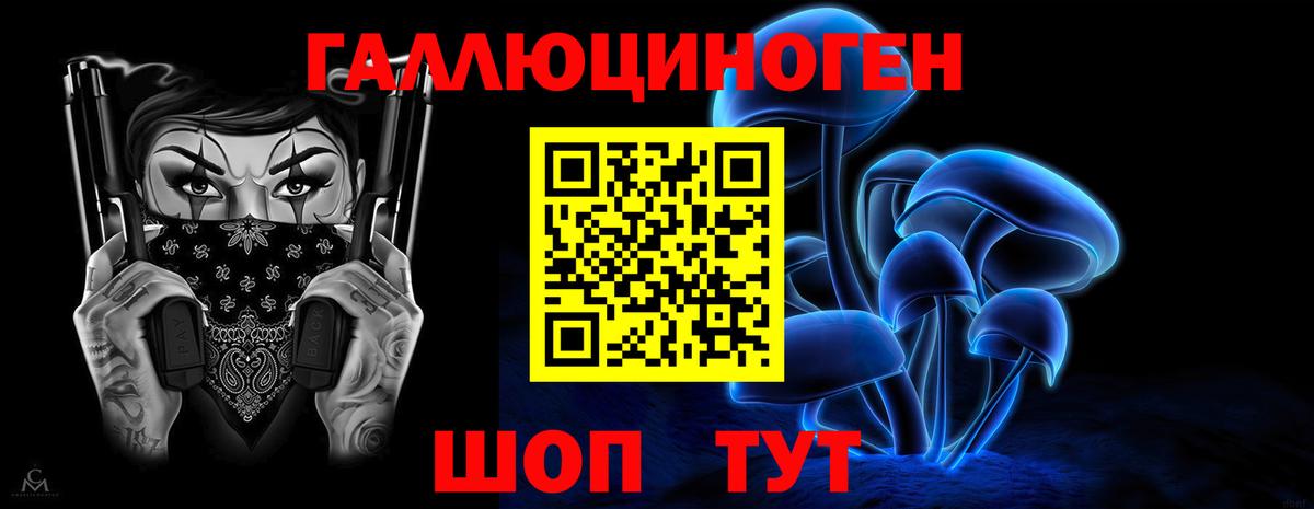 Псилоцибиновые грибы мицелий Алексин